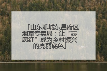 山东聊城东昌府区烟草专卖局:让“志愿红”成为乡村振兴的亮丽底色