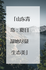 山东青岛：夏日湿地尽显生态美