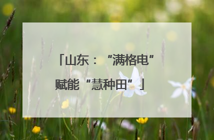 山东：“满格电”赋能“慧种田”