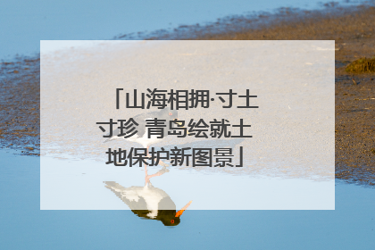 山海相拥·寸土寸珍 青岛绘就土地保护新图景