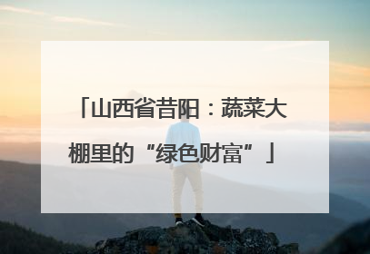 山西省昔阳：蔬菜大棚里的“绿色财富”
