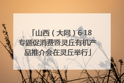 山西（大同）6·18专题促消费暨灵丘有机产品推介会在灵丘举行