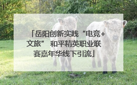 岳阳创新实践“电竞+文旅” 和平精英职业联赛嘉年华线下引流