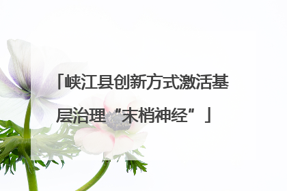 峡江县创新方式激活基层治理“末梢神经”