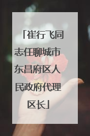 崔行飞同志任聊城市东昌府区人民政府代理区长