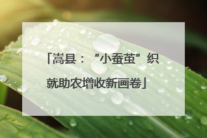 嵩县：“小蚕茧”织就助农增收新画卷