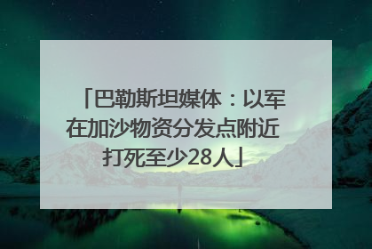 巴勒斯坦媒体：以军在加沙物资分发点附近打死至少28人
