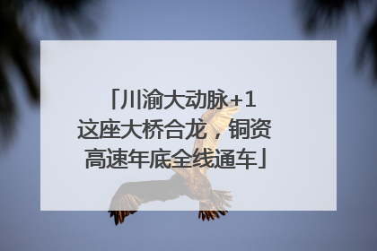 川渝大动脉+1 这座大桥合龙，铜资高速年底全线通车