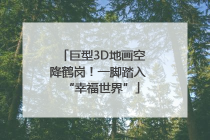 巨型3D地画空降鹤岗！一脚踏入“幸福世界”