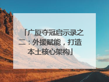 广厦夺冠启示录之二：外援赋能，打造本土核心架构