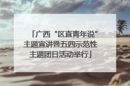 广西“区直青年说”主题宣讲暨五四示范性主题团日活动举行