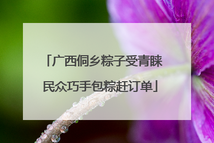 广西侗乡粽子受青睐 民众巧手包粽赶订单