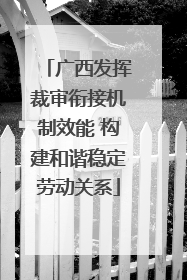 广西发挥裁审衔接机制效能 构建和谐稳定劳动关系