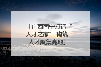 广西南宁打造“人才之家” 构筑人才聚集高地