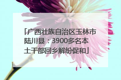 广西壮族自治区玉林市陆川县：3900多名本土干部回乡解纷促和