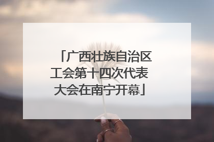 广西壮族自治区工会第十四次代表大会在南宁开幕