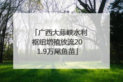 广西大藤峡水利枢纽增殖放流201.9万尾鱼苗
