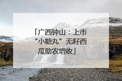 广西钟山：上市“小糖丸”无籽西瓜助农增收