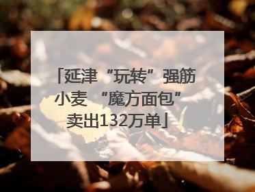 延津“玩转”强筋小麦 “魔方面包”卖出132万单