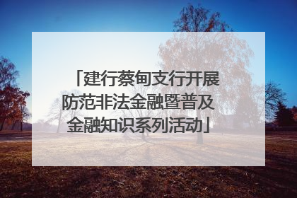 建行蔡甸支行开展防范非法金融暨普及金融知识系列活动