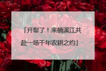 开犁了！来楠溪江共赴一场千年农耕之约