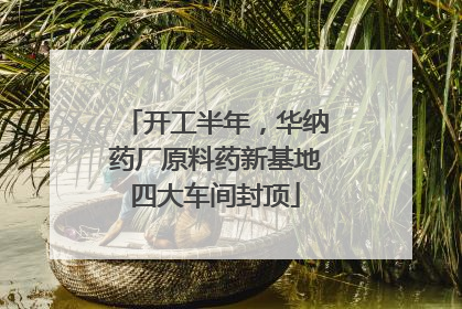 开工半年，华纳药厂原料药新基地四大车间封顶