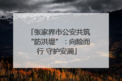 张家界市公安共筑“防洪堤”：向险而行 守护安澜