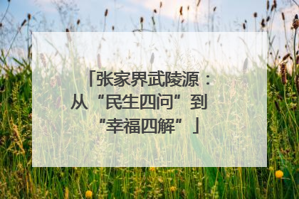 张家界武陵源：从“民生四问”到“幸福四解”