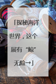 探秘海洋世界，这个展有“鲸”无险→