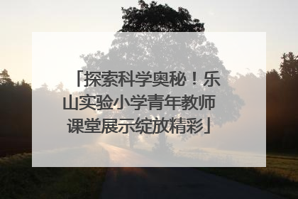 探索科学奥秘！乐山实验小学青年教师课堂展示绽放精彩