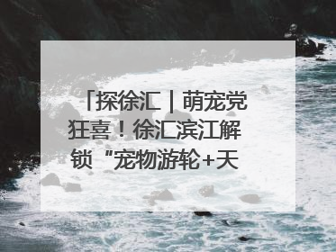 探徐汇｜萌宠党狂喜！徐汇滨江解锁“宠物游轮+天台乐园”双玩法