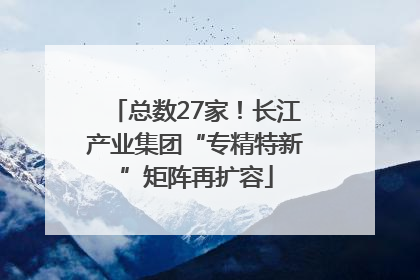 总数27家！长江产业集团“专精特新”矩阵再扩容