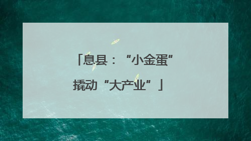 息县：“小金蛋”撬动“大产业”