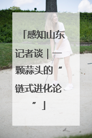 感知山东记者谈｜一颗蒜头的“链式进化论”