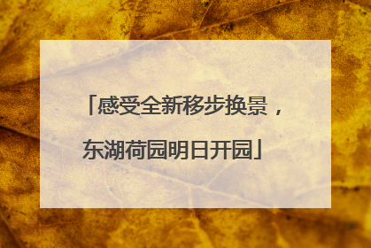感受全新移步换景，东湖荷园明日开园
