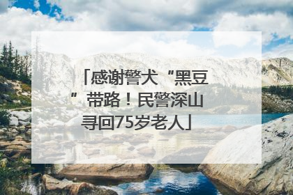 感谢警犬“黑豆”带路！民警深山寻回75岁老人