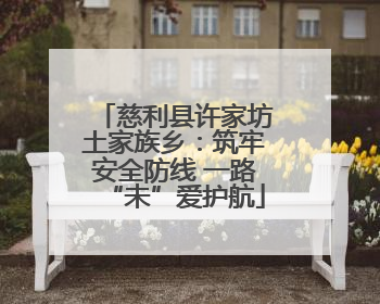 慈利县许家坊土家族乡：筑牢安全防线 一路“未”爱护航
