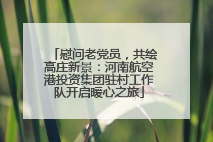 慰问老党员，共绘高庄新景：河南航空港投资集团驻村工作队开启暖心之旅