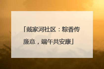 戴家河社区：粽香传廉意，端午共安康