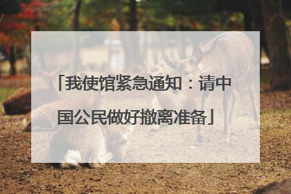 我使馆紧急通知：请中国公民做好撤离准备
