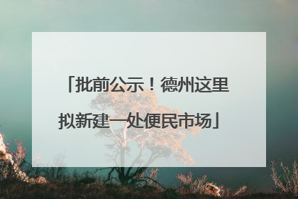 批前公示！德州这里拟新建一处便民市场