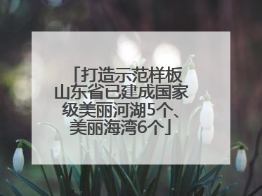 打造示范样板 山东省已建成国家级美丽河湖5个、美丽海湾6个
