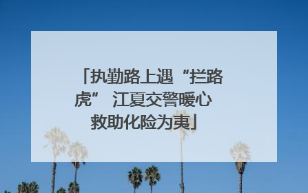 执勤路上遇“拦路虎” 江夏交警暖心救助化险为夷