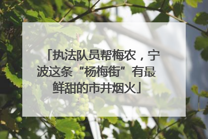 执法队员帮梅农，宁波这条“杨梅街”有最鲜甜的市井烟火
