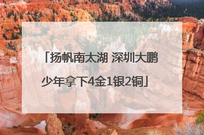 扬帆南太湖 深圳大鹏少年拿下4金1银2铜