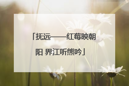 抚远——红莓映朝阳 界江听熊吟