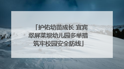 护佑幼苗成长 宜宾翠屏菜坝幼儿园多举措筑牢校园安全防线