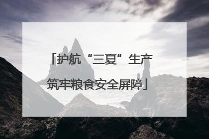 护航“三夏”生产 筑牢粮食安全屏障