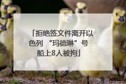 拒绝签文件离开以色列 “玛德琳”号船上8人被拘