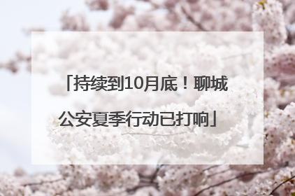 持续到10月底！聊城公安夏季行动已打响